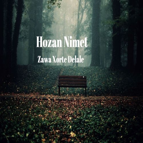 Şemdin cover art