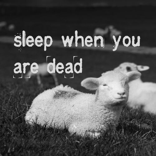 sleep when you are dead