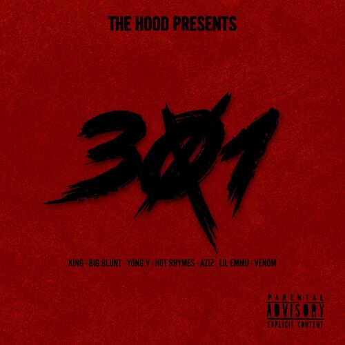 301 (feat. King 301, Big Blunt 301, YongV, Hot rhymes, Aziz 301 & Lil emmu) cover art