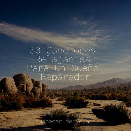 50 Canciones Relajantes Para Un Sueño Reparador_poster_image