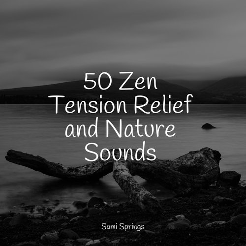 50 Zen Tension Relief and Nature Sounds