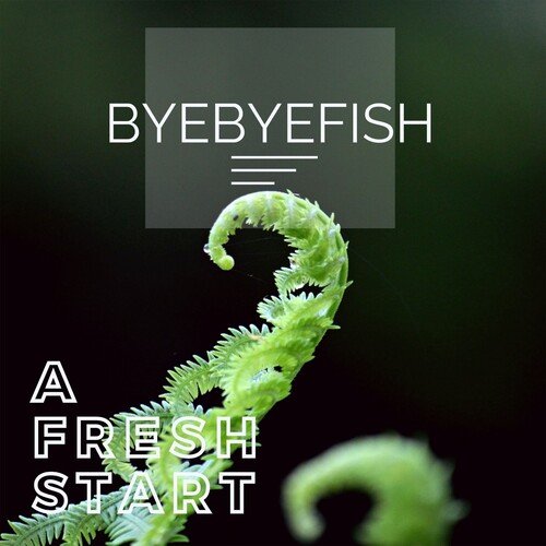 A Fresh Start