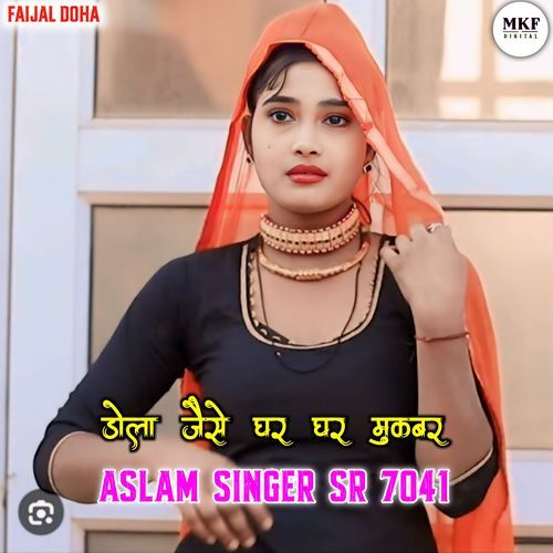 Aslam SR 7041
