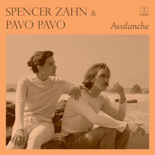 Avalanche (Pavo Pavo Remix)_poster_image