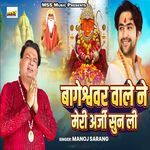 Bageshwar wale Ne Meri Aarji Sun Li