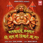 Bhagwadhari Hanuman Shree Ram Ke Diwane Aa Gaye