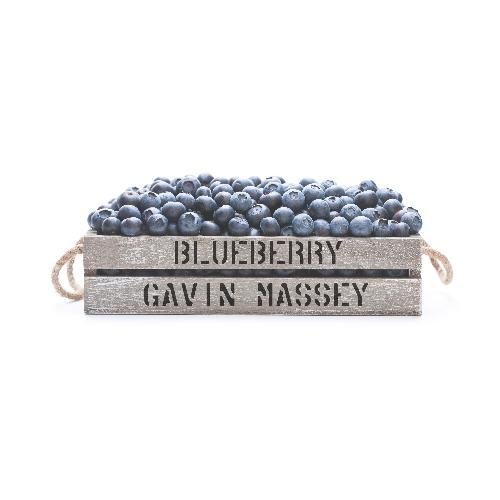 Blueberry (feat. Raetrix) cover art