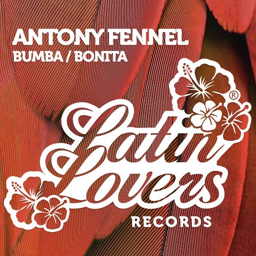 Bumba / Bonita - Single