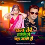 Chal Tere Ishq Mein Par Jate Hai