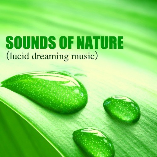 Creative Mind - Sounds of Nature, Liquid Music for Lucid Dreaming & Inducing Sleep