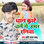 Dhan Kate Chale Ge Raniya (bhojpuri)