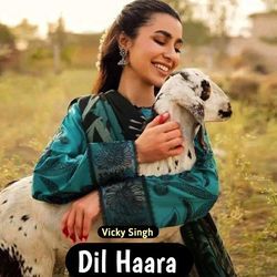 Dil Haara