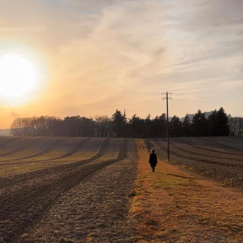 EP #2 Amare con Prudenza