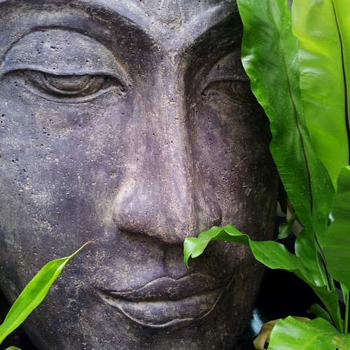 Peace & Mindfulness