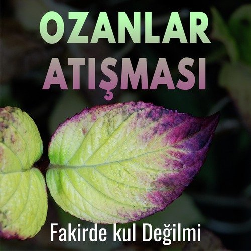 İnsan Kurt Oldu