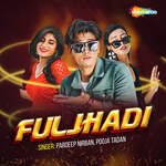 Fuljhadi