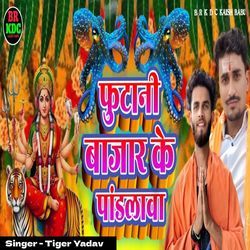 Futani Bazar Ke Pandal