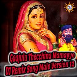 Gaajulu Thecchina Mamayyo (DJ Remix Song Male Version 12)-HgMhaAcDT1A