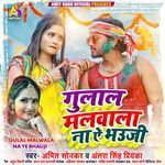 Gulal Malwala Na Ye Bhauji