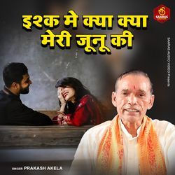 Ishq Mein Kya Kya Mere Junoon Ki