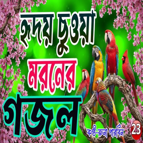 Kun Boneri Pakhi Tumi Go