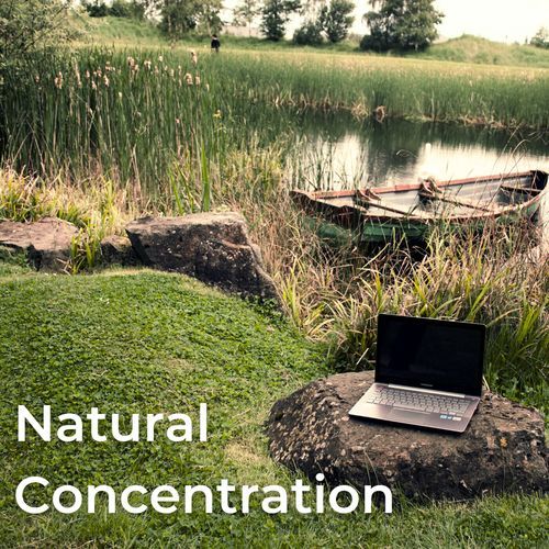 Natural Concentration