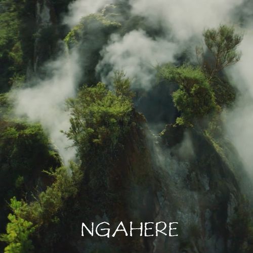 Whangarei cover art