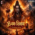 Om Namah Shivaya