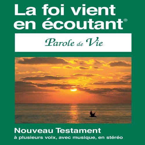 PDV Nouveau Testament Français Parole de Vie African Voices (dramatisé) - French Bible