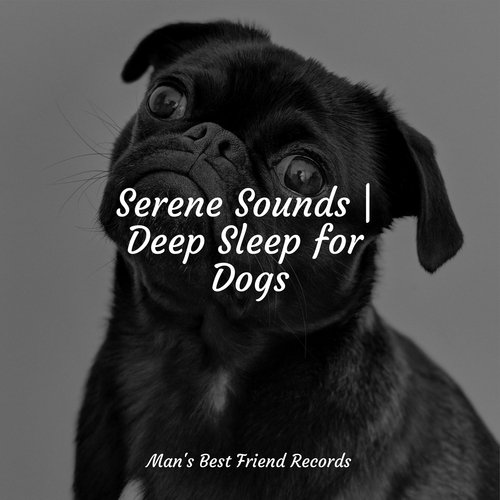 Serene Sounds | Deep Sleep for Dogs