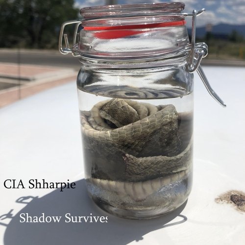 Shadow Survives cover art
