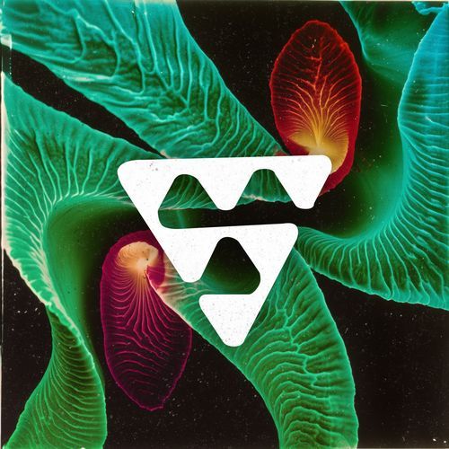 Mighty Dollar (TNNL Remix) cover art