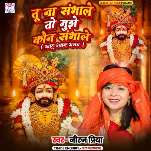 Tu Na Sambhale To Mujhe Kaun Sambhale cover art
