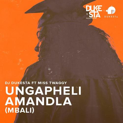 Ungapheli Amandla (Mbali) [feat. Miss Twaggy] cover art