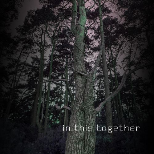 in this together