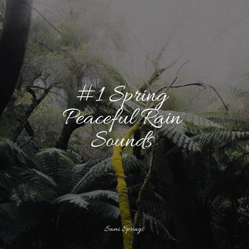 Rain, Storm and Thunder cover art