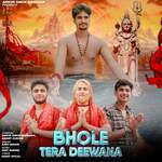 Bhole Tera Deewana