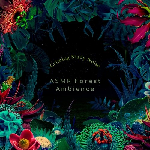 Calming Rainforest Sounds cover art