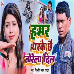 Hamar Dharke Chhai Torela Dil