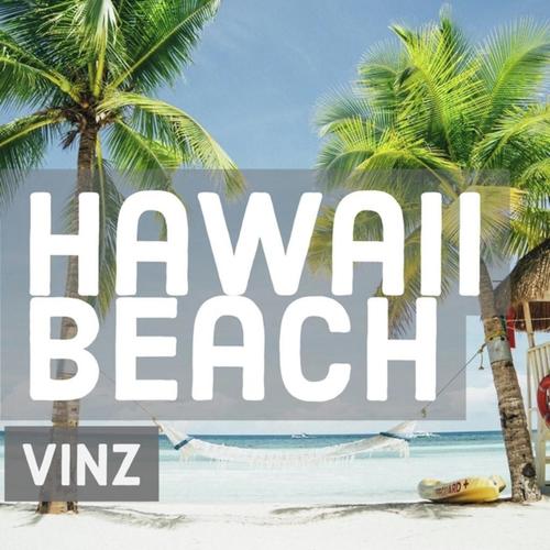 Hawaii Beach_poster_image