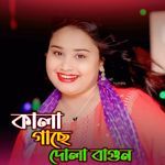 Kala Gase Dola Re Baigun