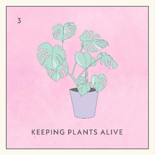 Keeping Plants Alive