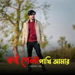 Koi Gela Pakhi Amar