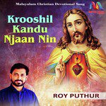 Krooshil Kandu Njaan Nin - Single