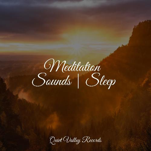 Meditation Sounds | Sleep
