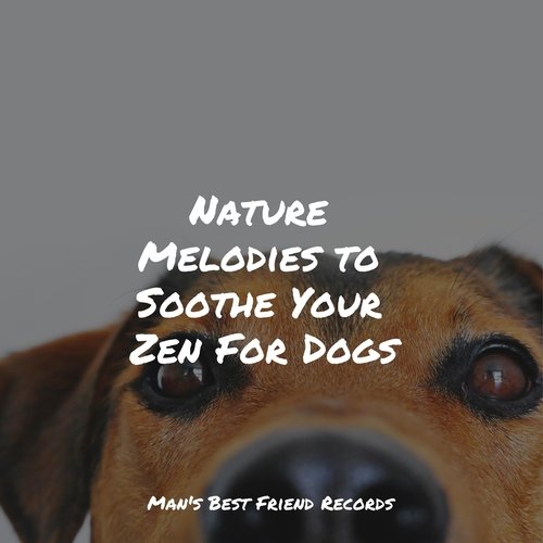 Nature Melodies to Soothe Your Zen For Dogs_poster_image