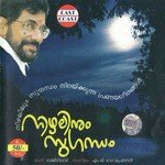 Malarsharan Manivillu