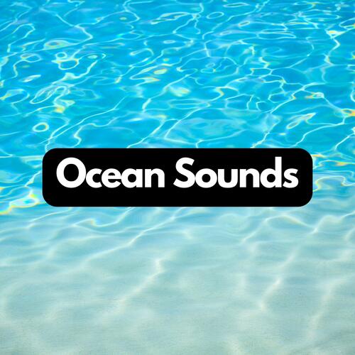 Oceanic Overtures: Calming Sea Tunes_poster_image