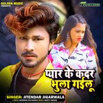 Pyar Ke Kadar Bhula Gailu