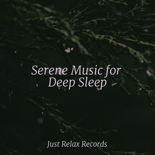 Serene Music for Deep Sleep